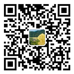 大发彩神lv争霸